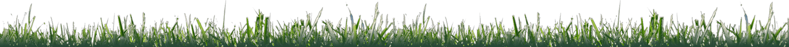 landscape-maintenance-37