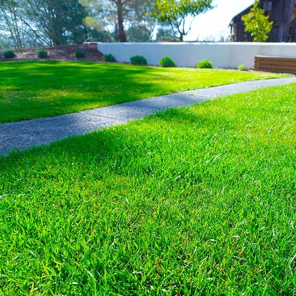 landscape-maintenance-45